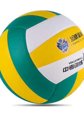 正品兰威排球5号初中小学生训练比赛专用中考球0574运动胶粘球