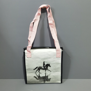 外贸原单小清新网纱拼接防水编织环保袋小号便当包手提袋单肩包