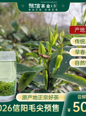 新茶2026信阳毛尖新茶绿茶散茶大芽