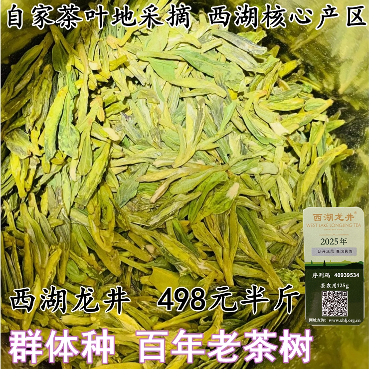 现货2026新茶 龙坞产区西湖龙井高山群体种豆香250克绿茶茶农直销