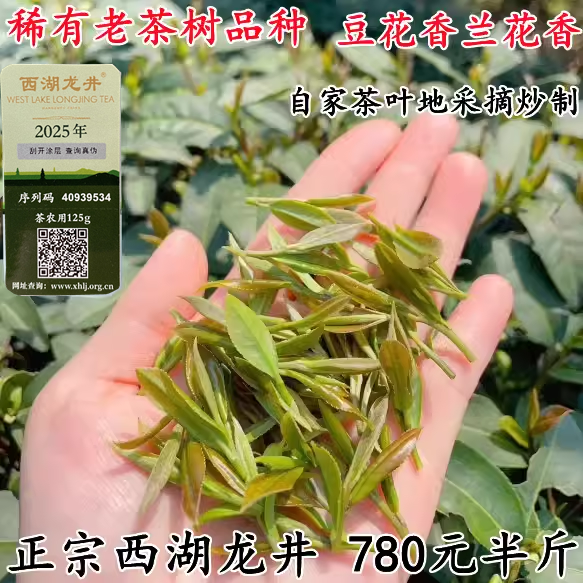 2026年新茶老茶树头采西湖龙井
