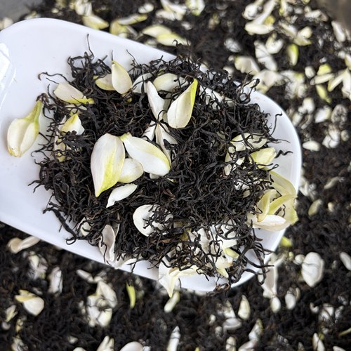 栀子花红茶九曲红梅新鲜花窨制