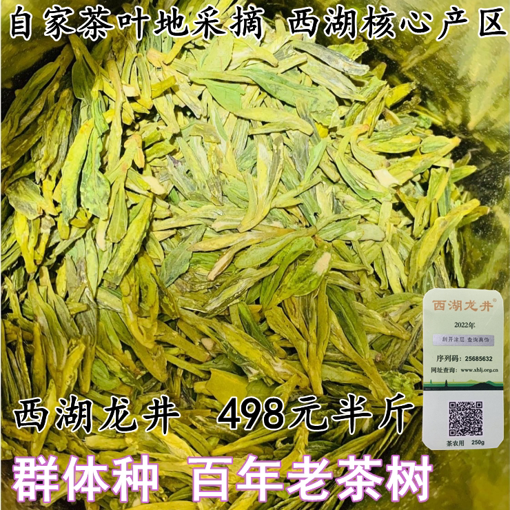 预售2024新茶 龙坞产区西湖龙井高山群体种豆香250克绿茶茶农直销