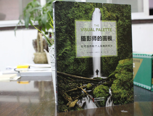 摄影师的画板 如何创作有个人风格的照片 摄影创作技巧与审美/实用的摄影技法书籍/景物人像拍摄技巧照片欣赏解析书籍/摄影笔记