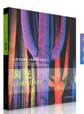 世界摄影大师巅峰作品诞生记 风光 典藏版风景户外摄影构图用光作品欣赏析大师作品泰里霍普业余摄影师数码摄影拍照ins风书籍