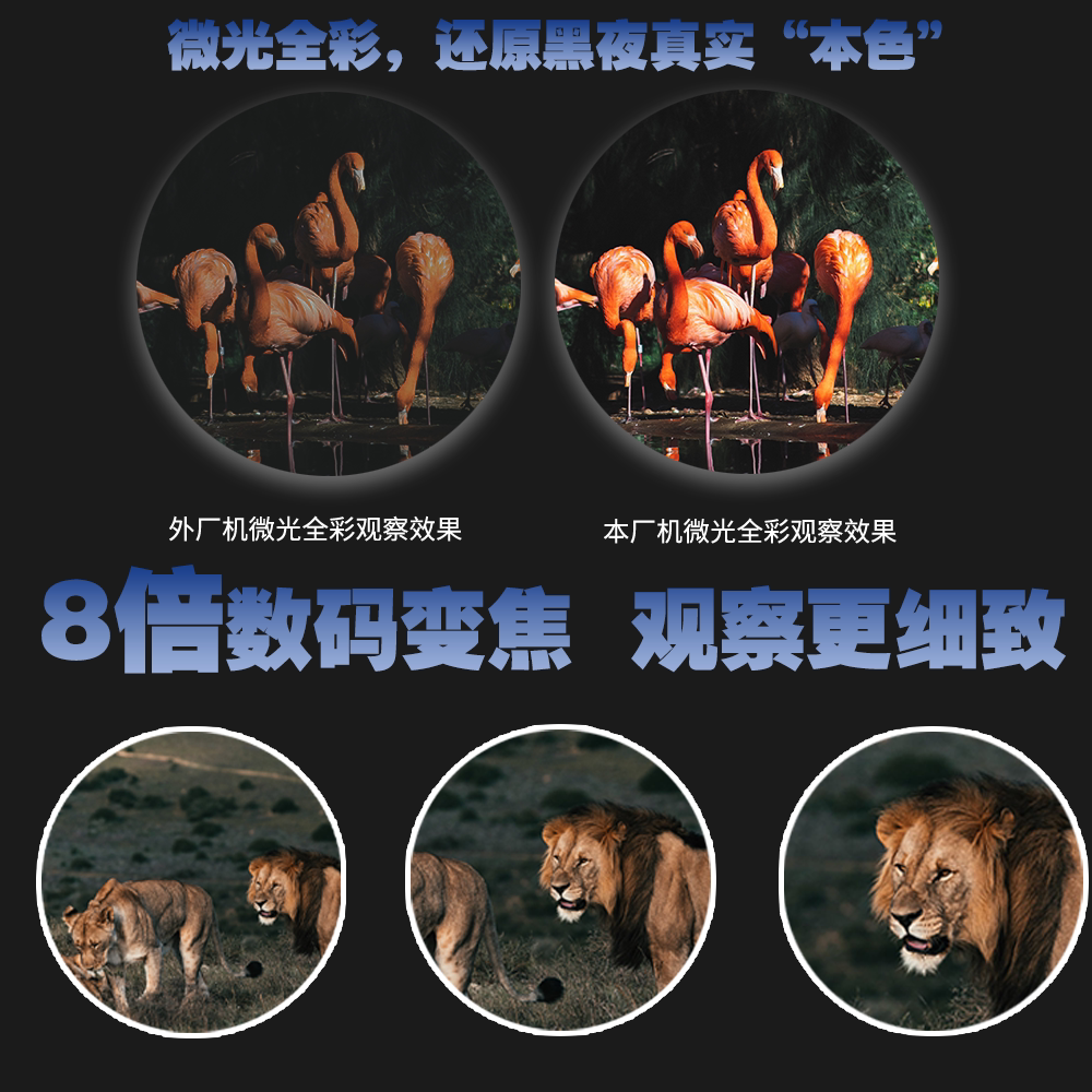 博仕航NVS880数码红外高清双目夜视仪微光全彩昼夜两用望远镜夜间