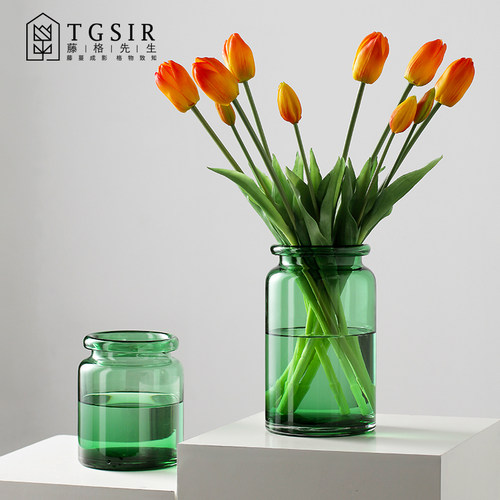 简约水养鲜花餐桌茶几玻璃花瓶