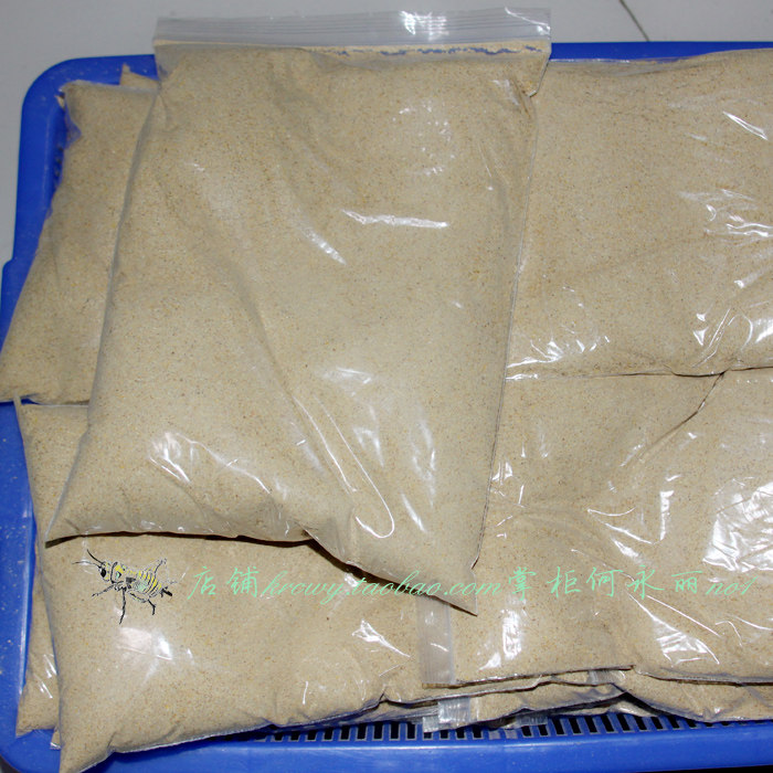白蟋蟀全营养新鲜不含包邮饲料
