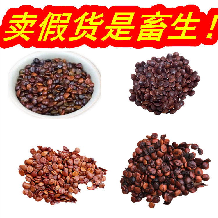 野生酸枣仁东方睡果正品中药材百合茯苓散睡眠丸茶粉助眠安神易醒