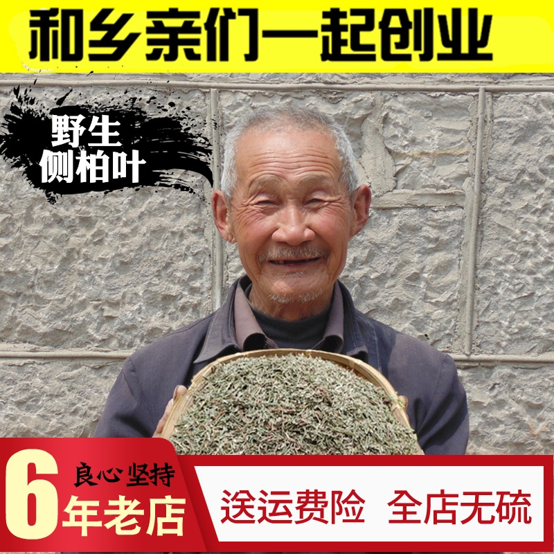 山东野生侧柏叶500克中药材柏树叶柏叶洗发水生发增发桑叶乌黑发