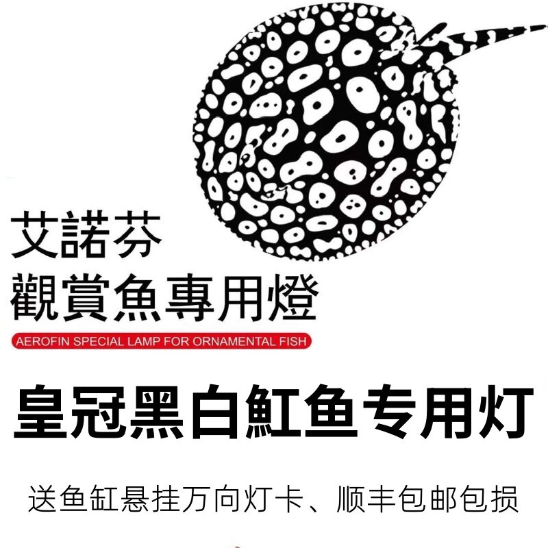 艾诺芬鱼缸LED灯月光白神灯皇冠魟鱼蝴蝶鲤金龙萨伊冷色系潜水灯