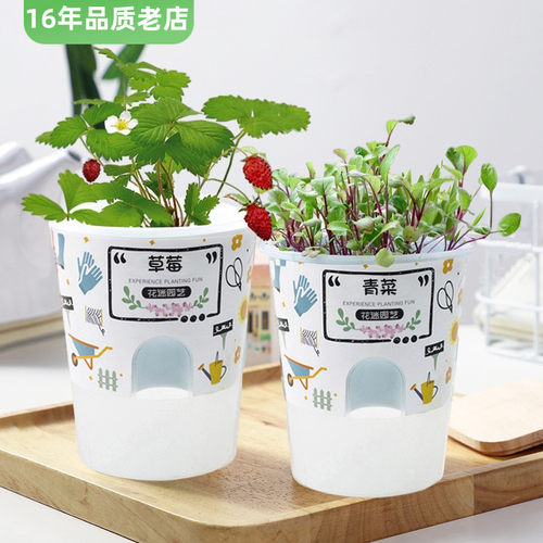 [高配版]100%发芽小盆栽
