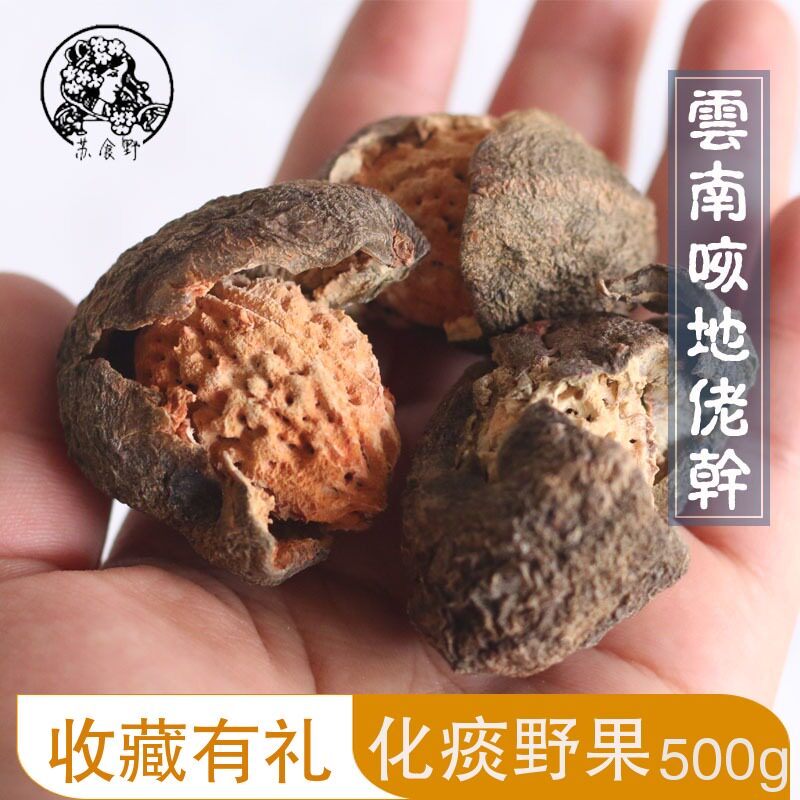 云南克哩佬柯子咳地佬干原味干果野生滇青果晒干500g