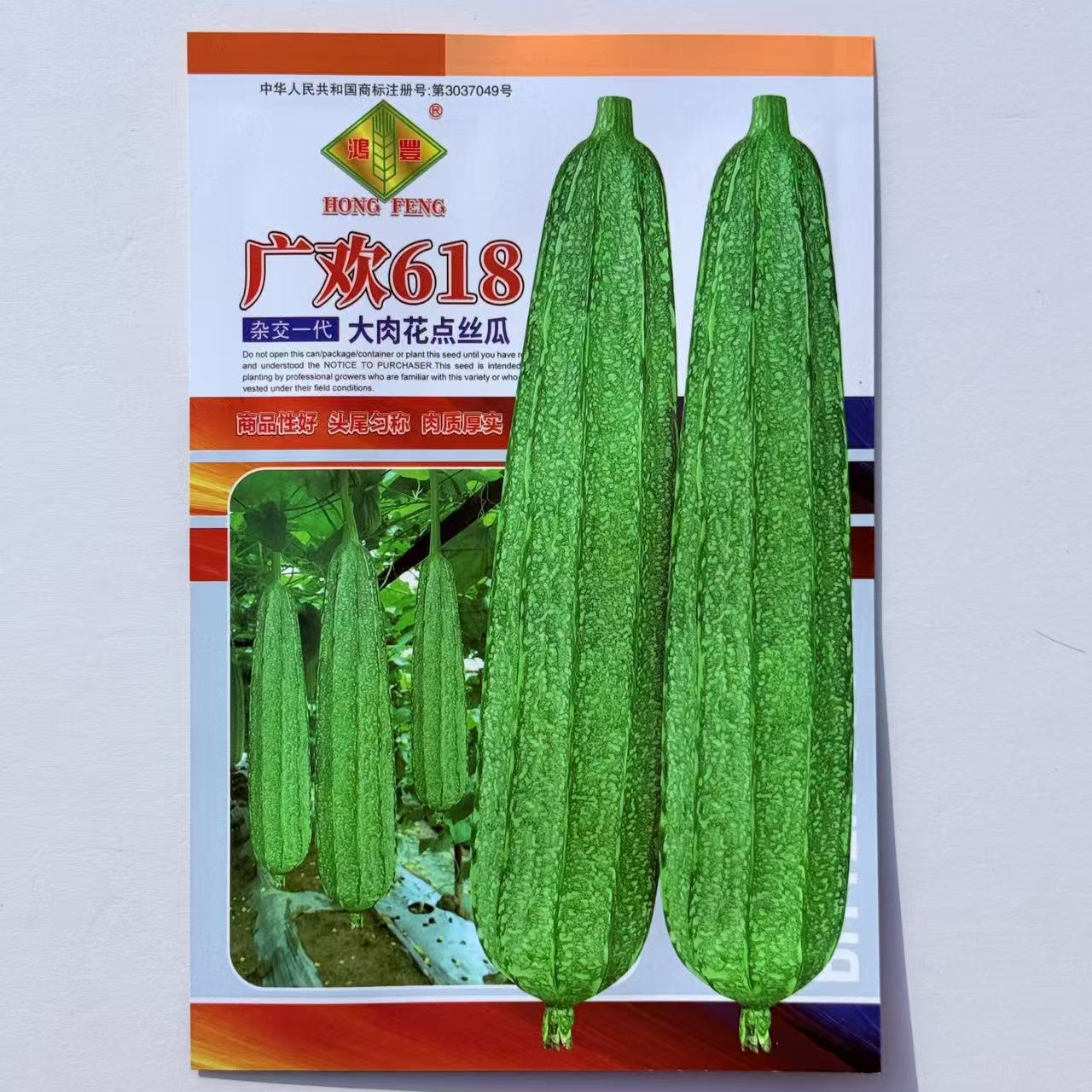 广欢618 大肉花点丝瓜种子 亮绿厚肉大果高产抗病商品性佳 春季播
