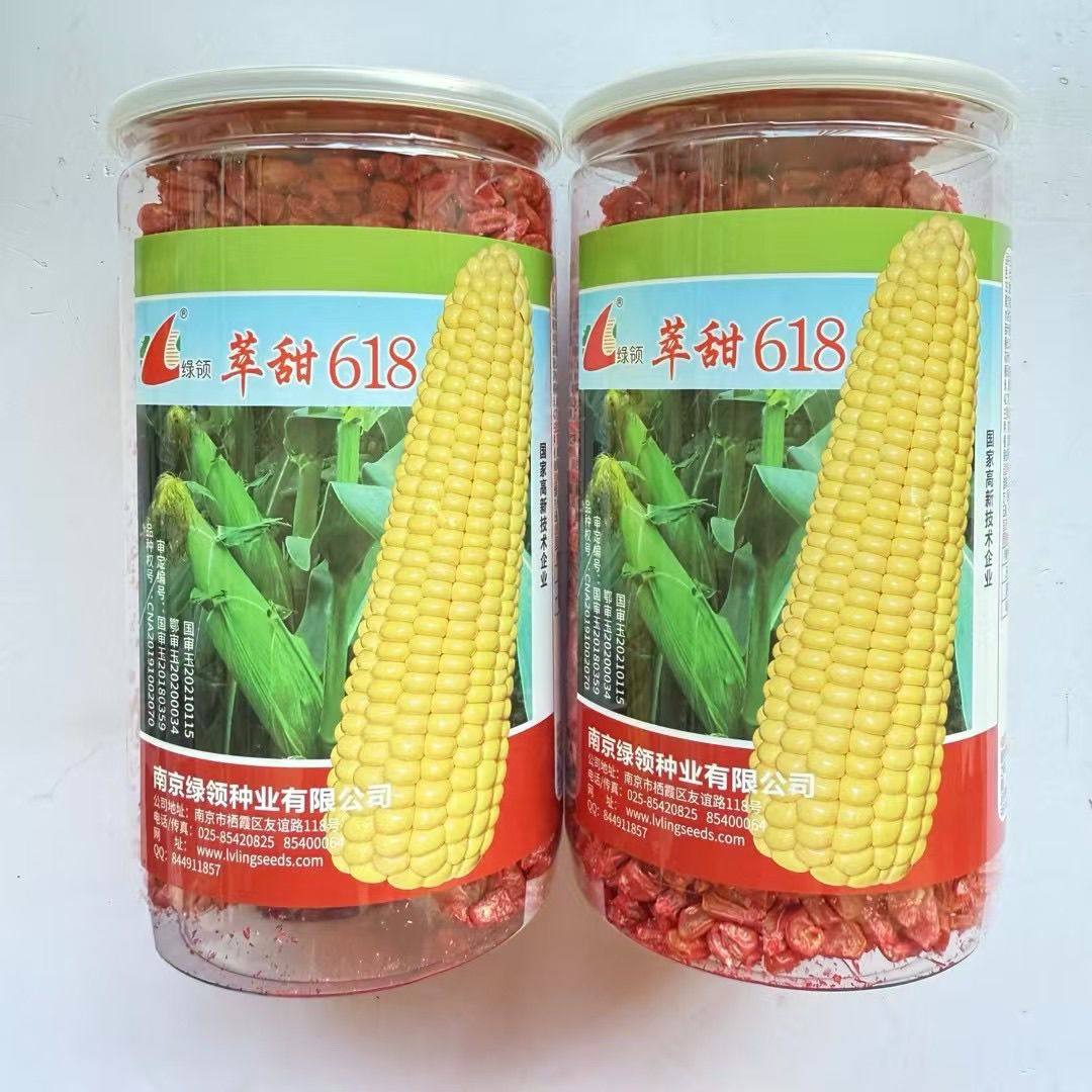 国审超甜水果玉米种子萃甜糯618鲜食甜玉米种子黄色甜脆玉米种子