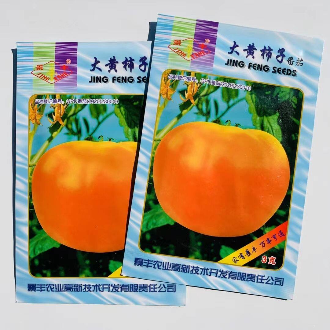 景丰大黄柿子西红柿种子无限生长型早熟黄皮大果番茄种籽厚肉味甜