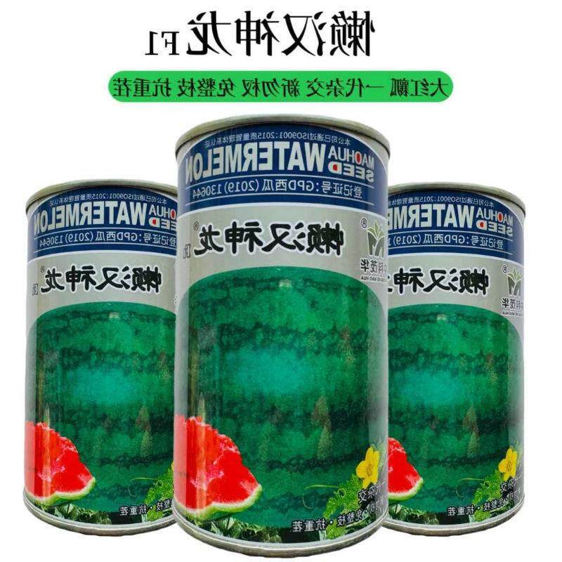 懒汉沙漠之星西瓜种子硒砂