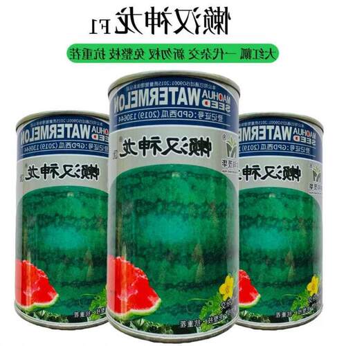 懒汉沙漠之星西瓜种子硒砂