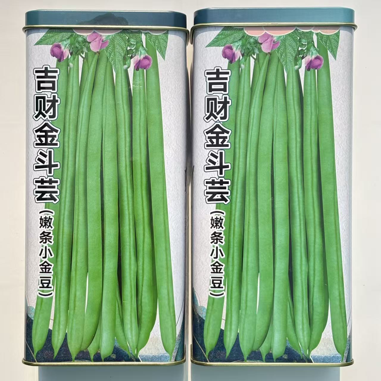 吉财金斗芸嫩条小金豆种子嫩荚浅绿色扁圆长四季豆角种罐装500克