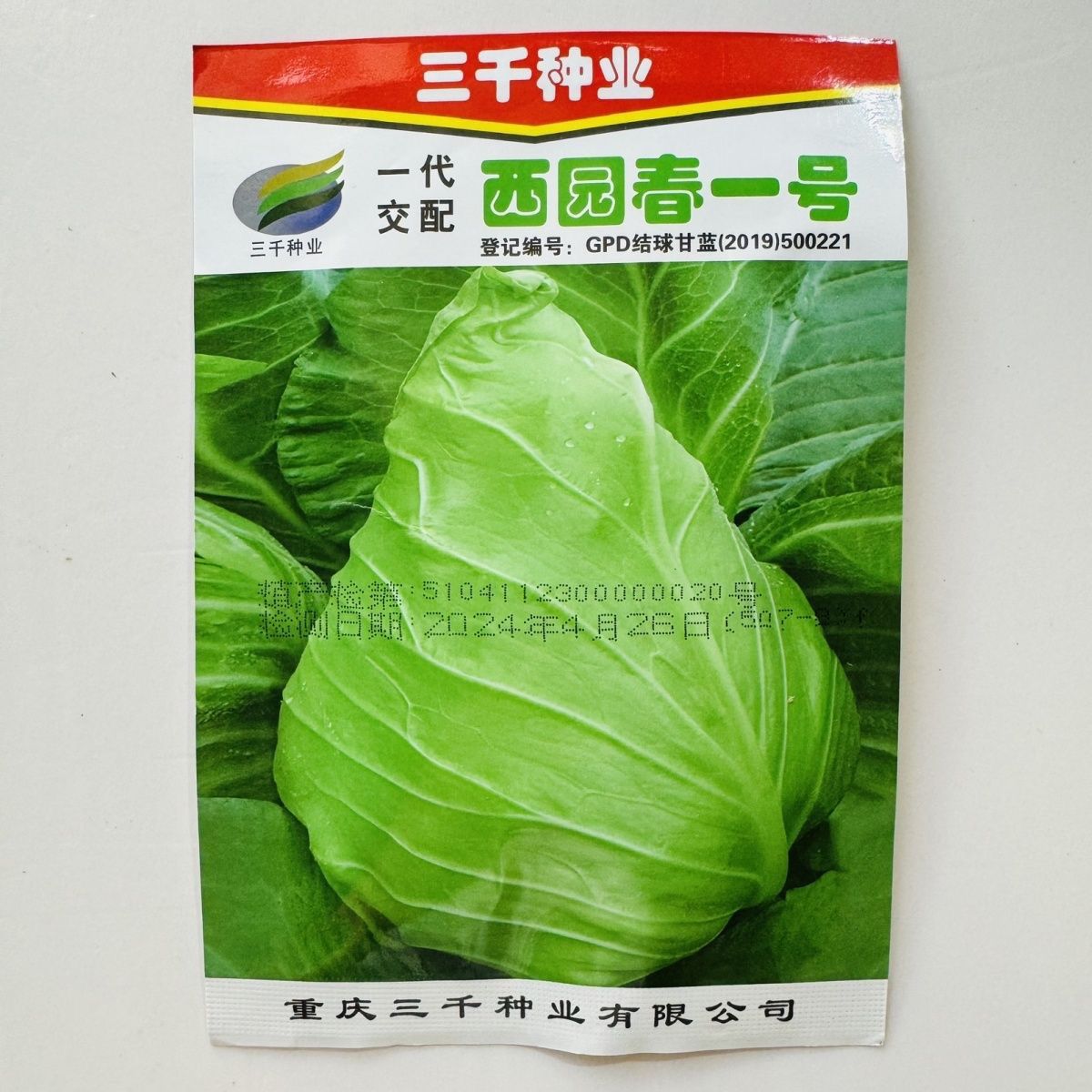 西园春一号甘蓝种子早熟牛心甘蓝种子冬性强耐抽苔胖尖型包菜种子