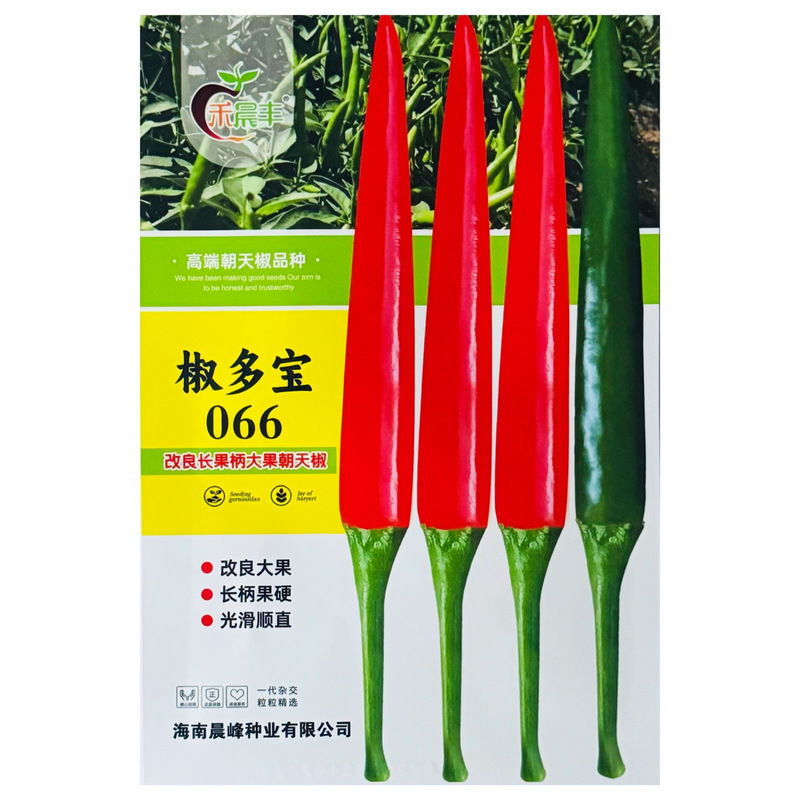 椒多宝066改良大果朝天椒种子长把长柄硬果早熟耐高温耐干旱高产