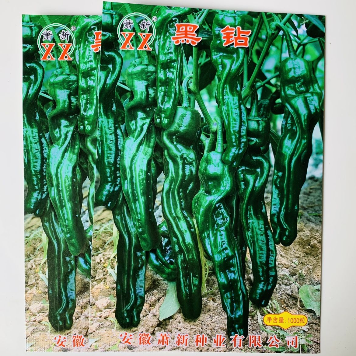 萧新黑钻皱皮辣椒种子大黑辣椒种加长型特辣皱皮辣椒薄皮蔬菜包邮