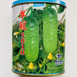 翠冠5010脆黄瓜种子中早熟抗病短棒水果黄瓜种籽绿瓤春秋播种