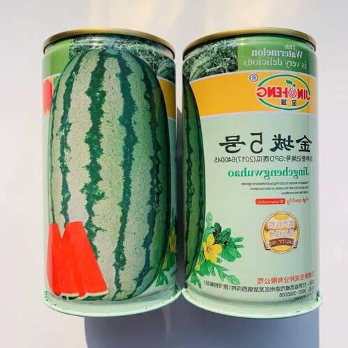 正宗金城牌五号西瓜种子石