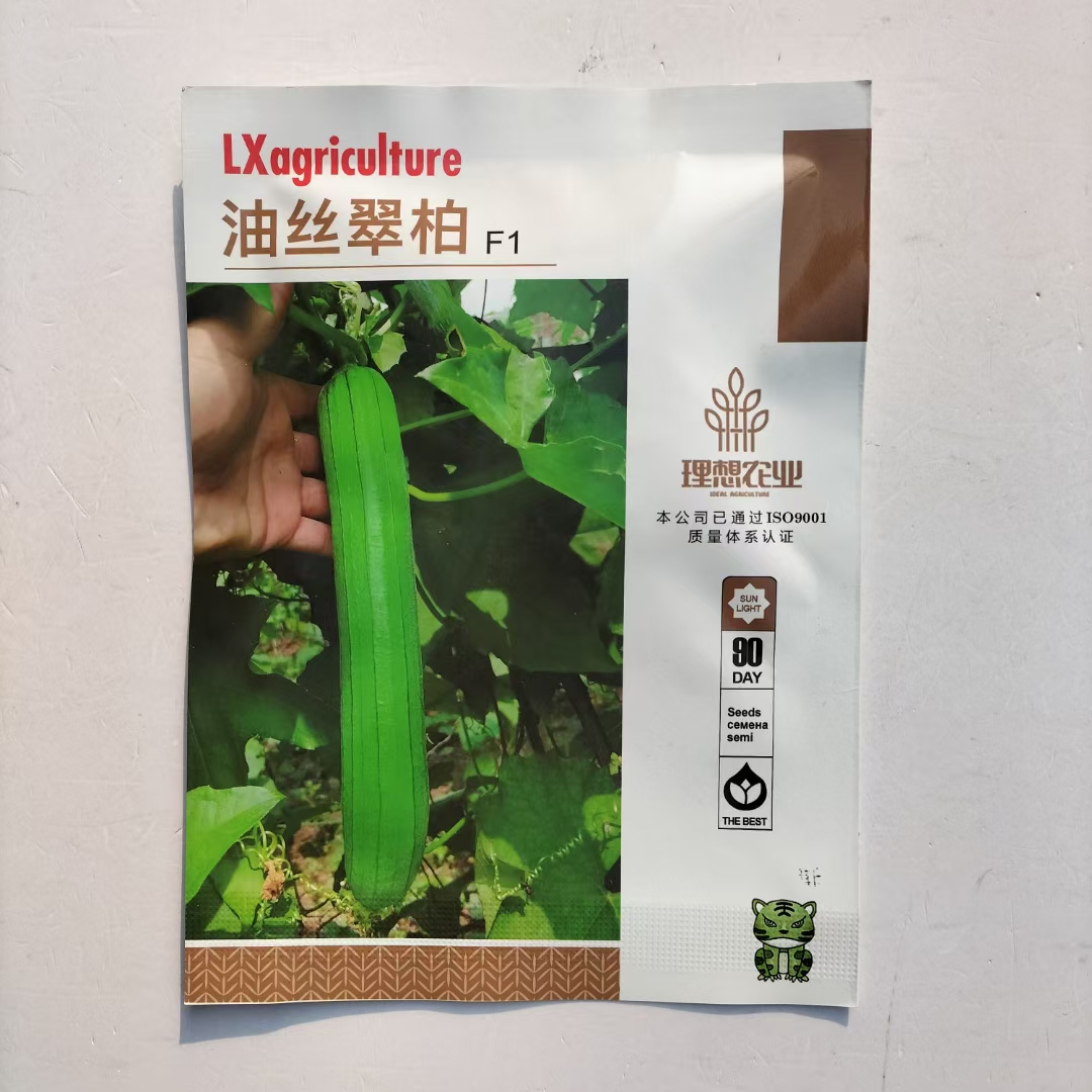 油丝翠柏丝瓜种子杂交早熟连续结瓜力强圆柱形香味浓商品性好抗病