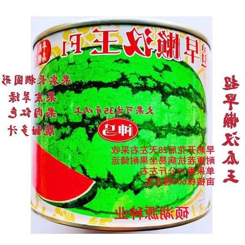 超早懒汉王西瓜种子熟耐重