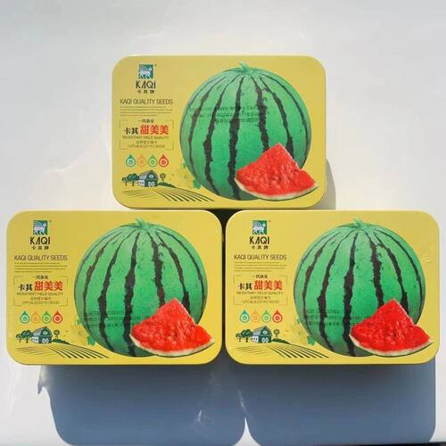 卡其甜美美西瓜种子中早熟抗病耐低温耐运薄皮高糖大果可达10公斤
