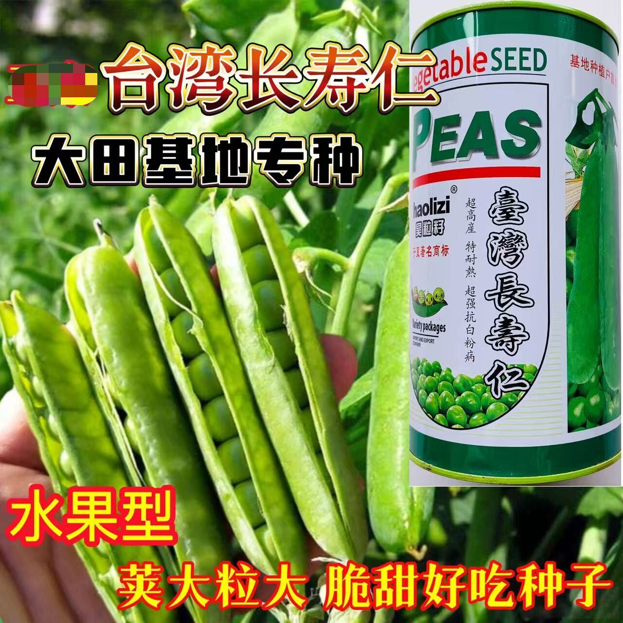 台湾长寿仁水果型豌豆种子高产抗病抗逆性强大田基地专用豌豆种籽