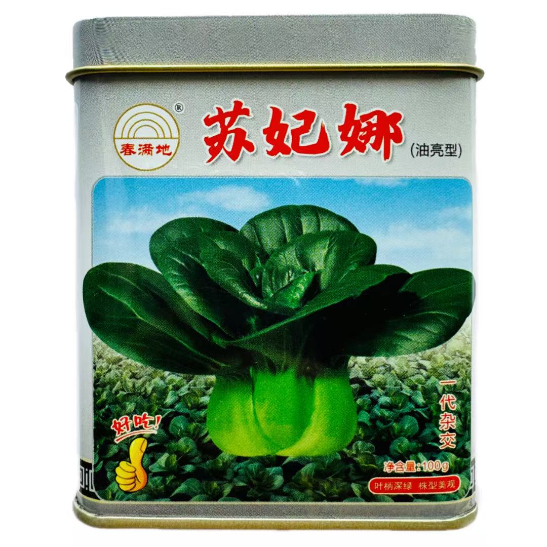 苏妃娜青菜种子矮脚墨绿叶苏州青种子束腰肥厚翠绿叶四季青菜种子