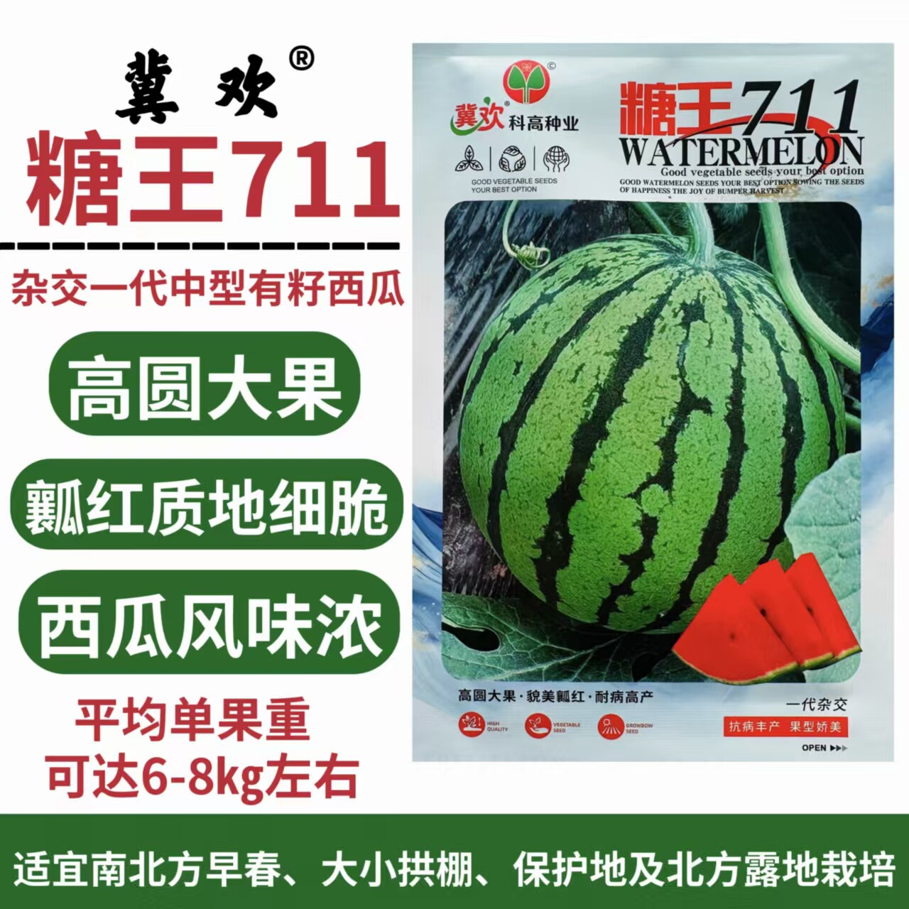 糖王711中型有籽西瓜种子杂交一代高圆大果近球形瓤红色肉质细脆