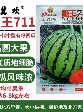 糖王711中型有籽西瓜种子杂交一代高圆大果近球形瓤红色肉质细脆
