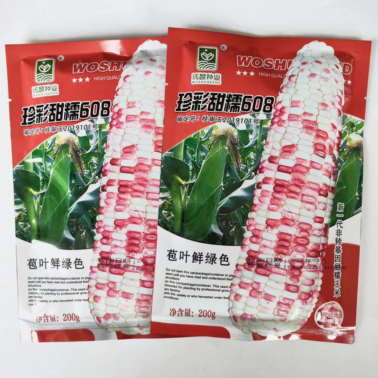 沃蔬珍彩甜糯608玉米种子 加甜糯鲜食玉米苞谷籽大田花糯玉米种孑