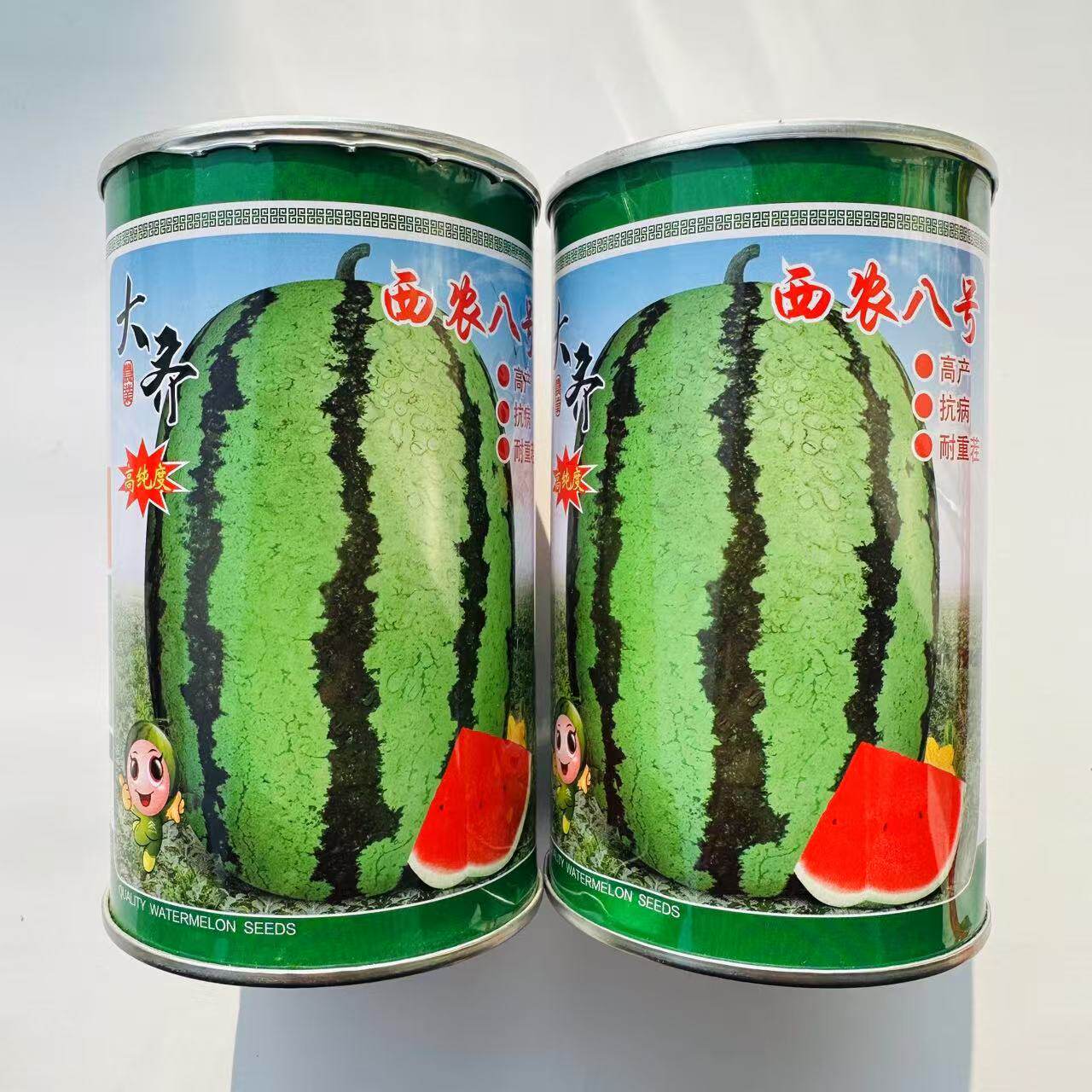 大齐西农八号西瓜种子椭圆形条纹西瓜种籽耐重茬抗病大田专用高产