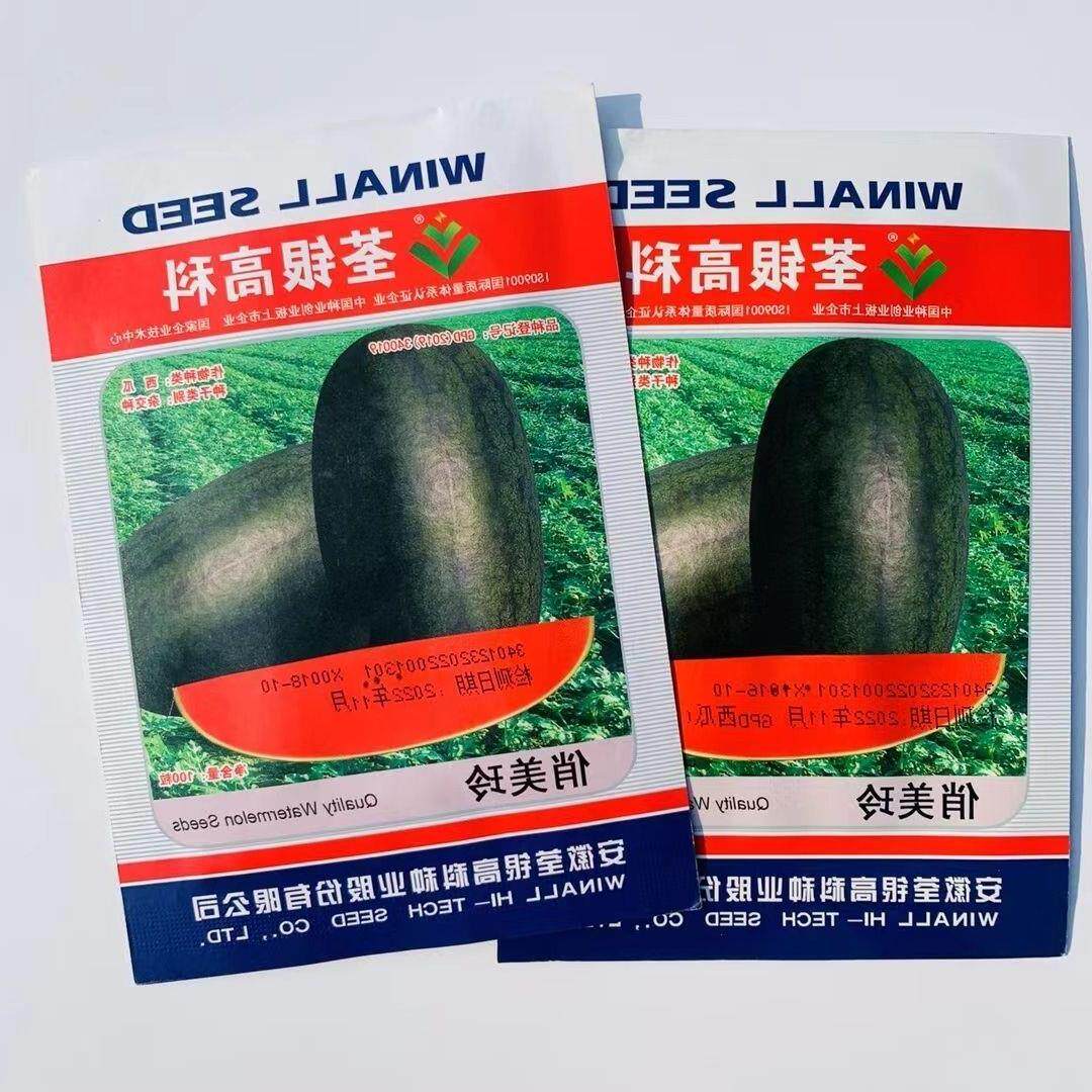 俏美玲大果超甜黑人西瓜种
