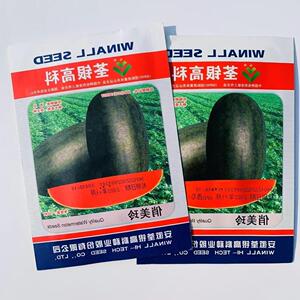 俏美玲大果超甜黑人西瓜种