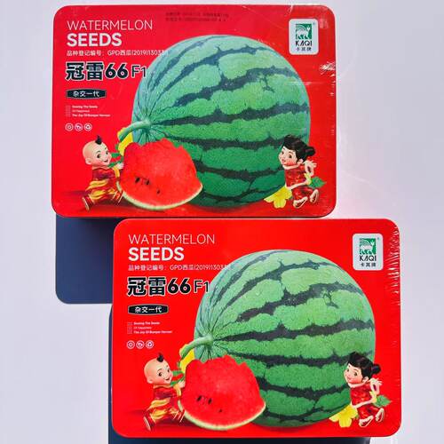 卡其牌冠雷66早熟西瓜种子抗病强易坐果皮薄甜脆多汁糖度高耐贮运