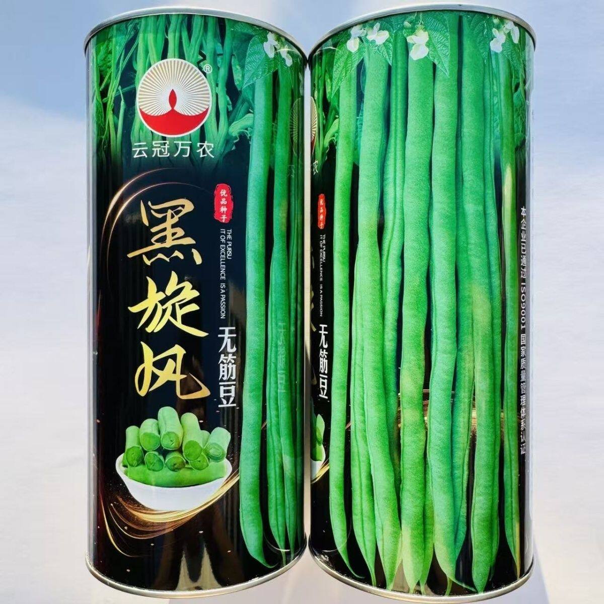 云冠黑旋风无筋豆种子蔓生嫩绿荚肉质厚耐中早熟老化抗病强春秋播