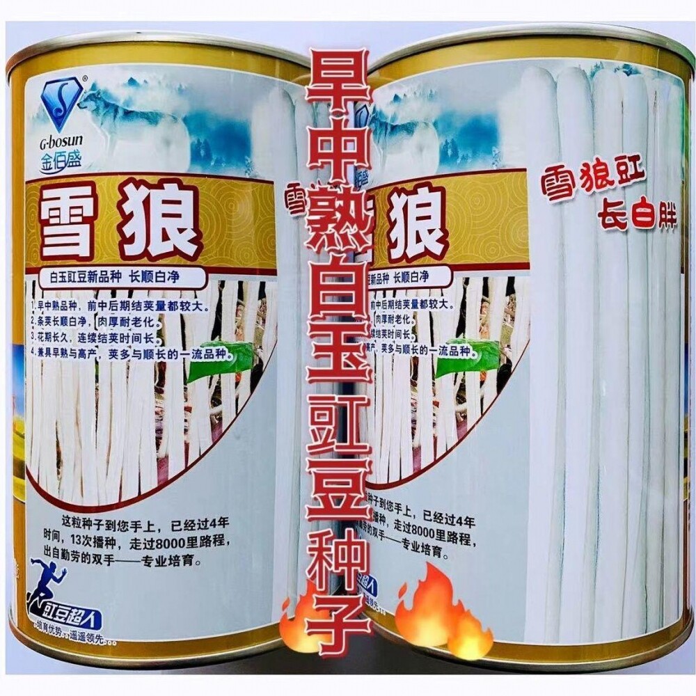 高产特长白豆角种子早熟爬藤白玉豇豆种籽春秋基地大棚露天均可种