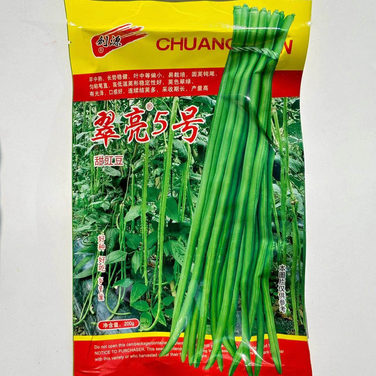 湖北翠亮5号豇豆种子口感好翠绿长荚高产抗病商品性佳春秋播豆角