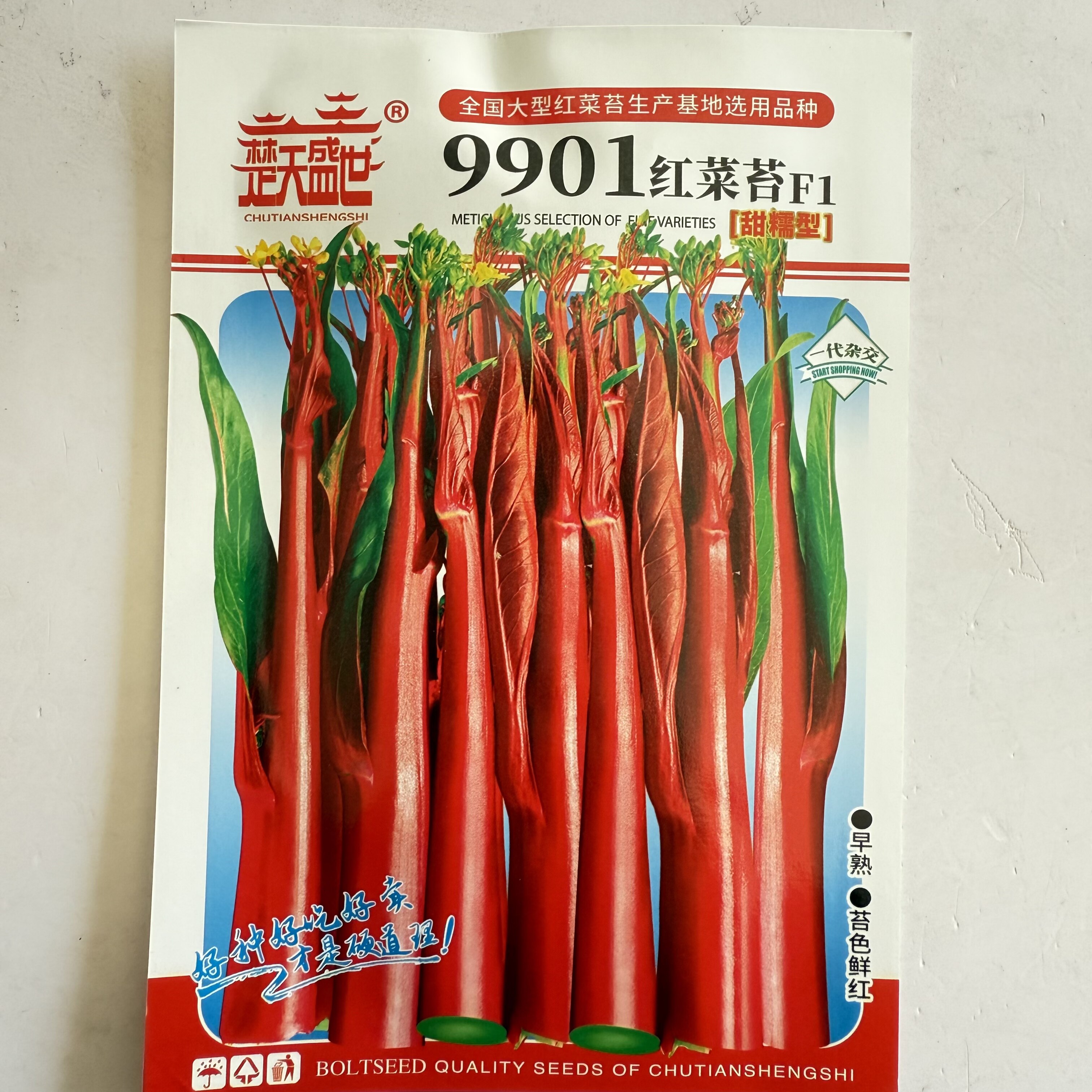 9901正宗武汉红菜苔种子洪山菜苔种子早熟秋冬高产耐寒抗病春秋播