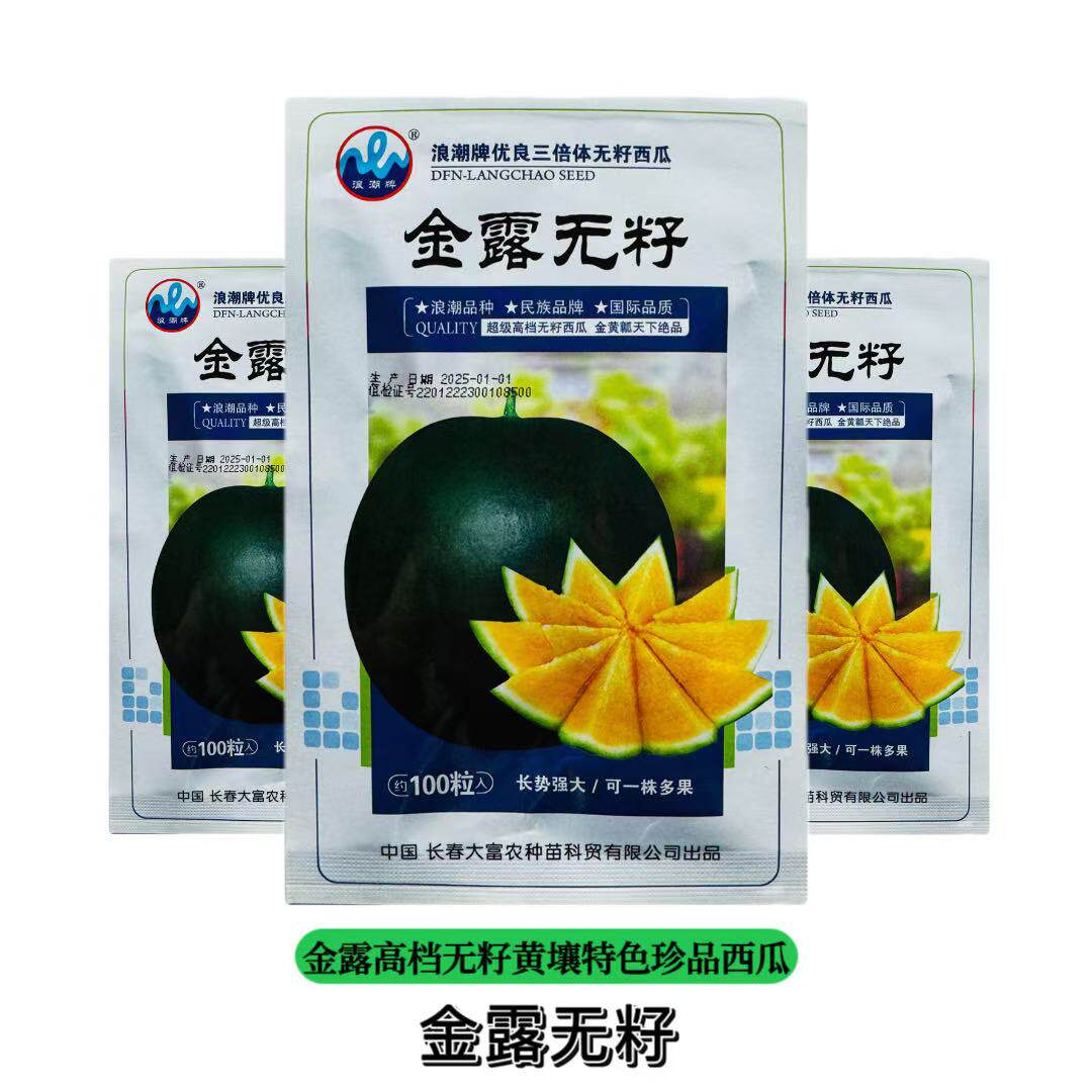 浪潮高档黑皮黄瓤无籽西瓜种子特大超甜黑皮无籽西瓜种子礼品西瓜