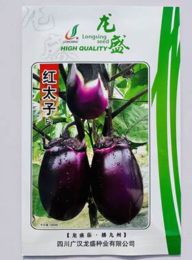 龙盛红太子F1紫皮茄子种子早熟果实椭圆形耐寒性强耐热高产1000粒