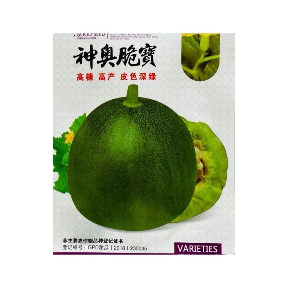 绿宝神奥脆宝甜瓜种子高糖高产口感好杂交早熟厚抗病耐运输冷清香