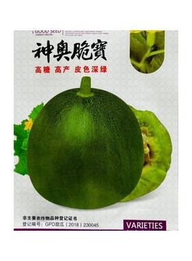 绿宝神奥脆宝甜瓜种子高糖高产口感好杂交早熟厚抗病耐运输冷清香