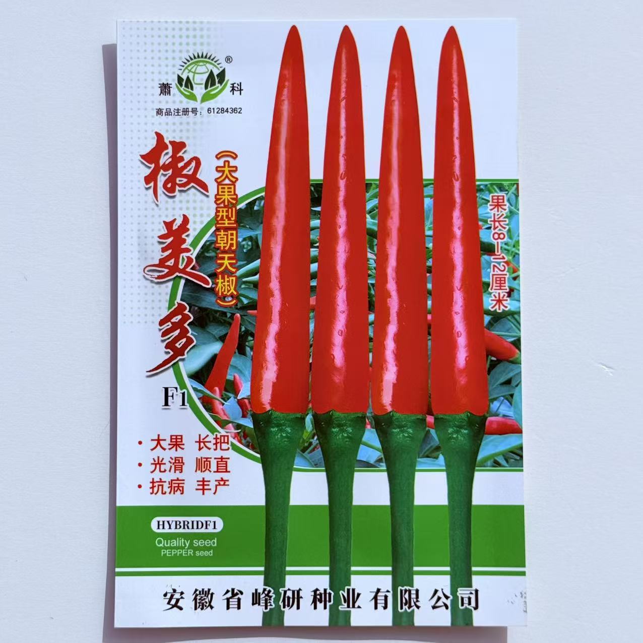 椒多美大果朝天椒种子中晚熟特辣单生大果型青红两用高产辣椒种孑