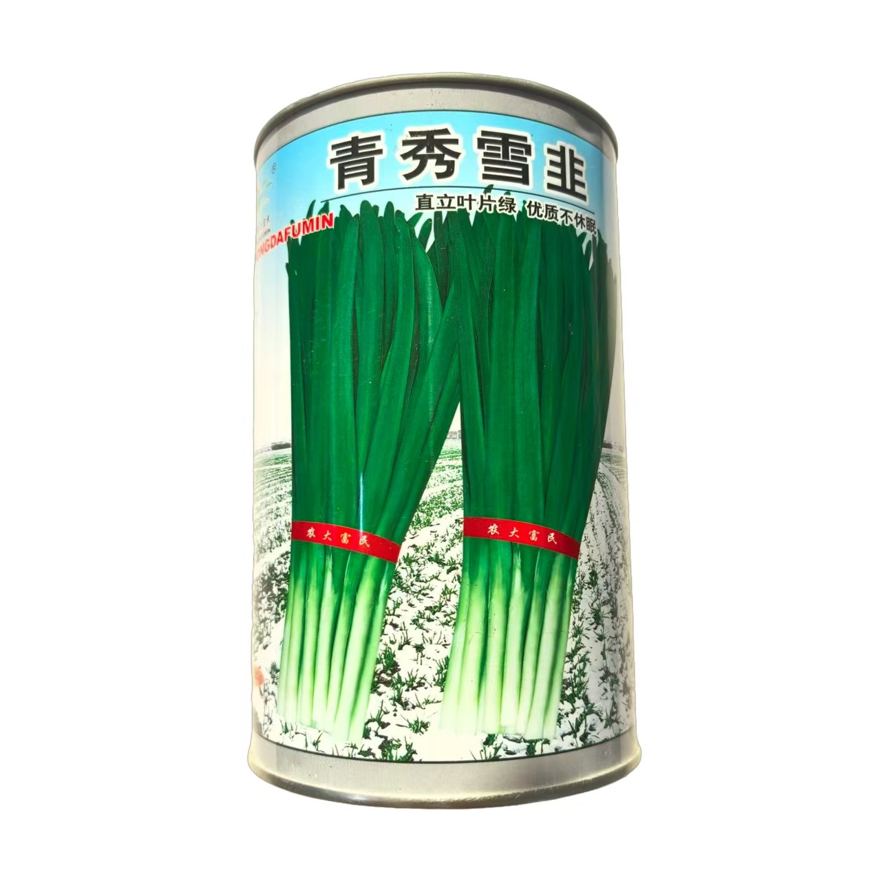 青秀雪韭速生韭菜种子耐寒多抗型宽叶不休眠韭菜种籽高产大田种孑